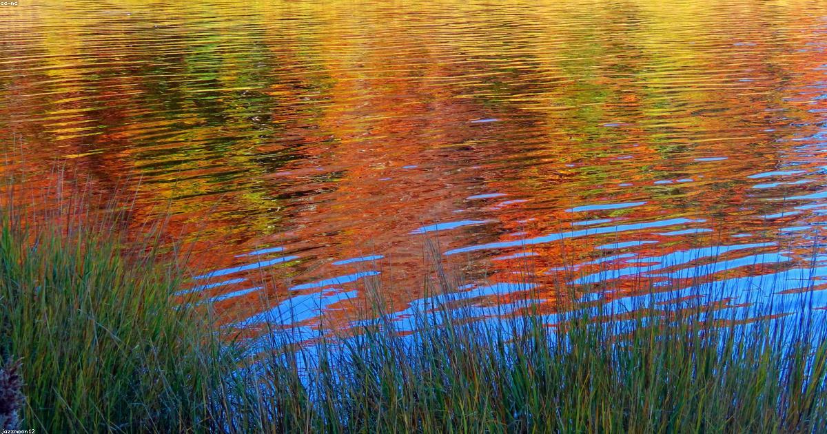 Moda-Beleza-post-image-5