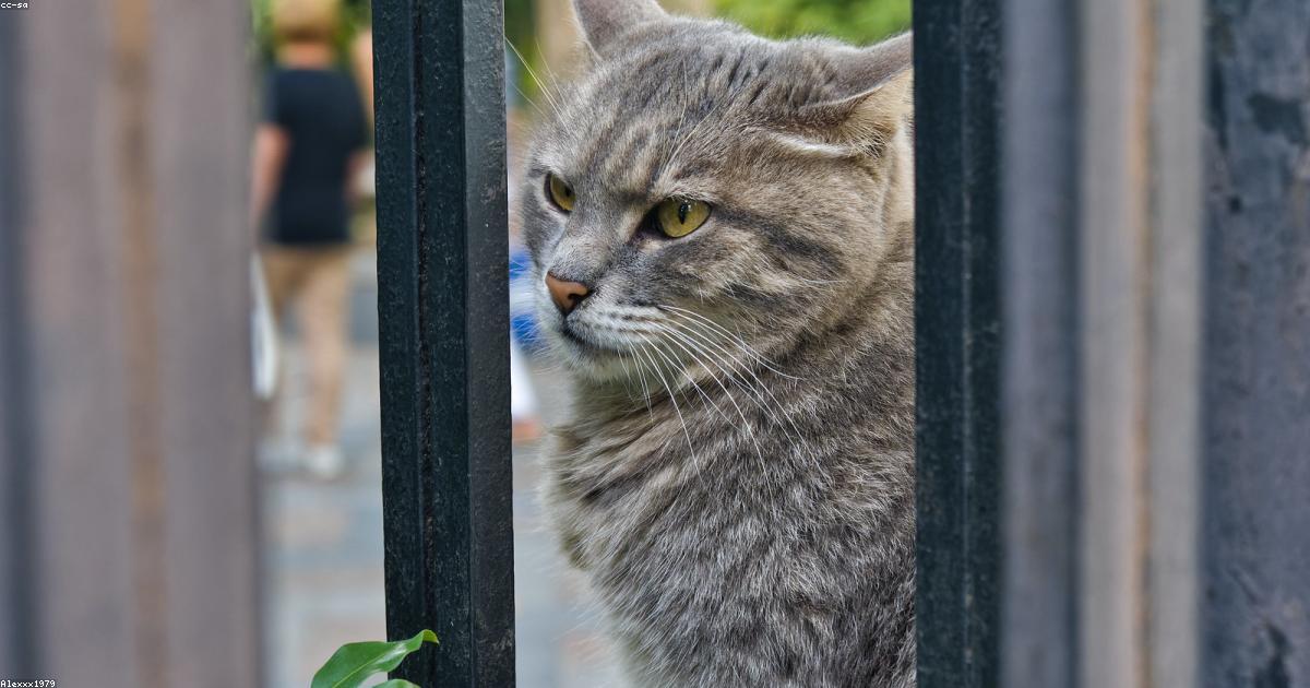 Moda-Beleza-post-image-25