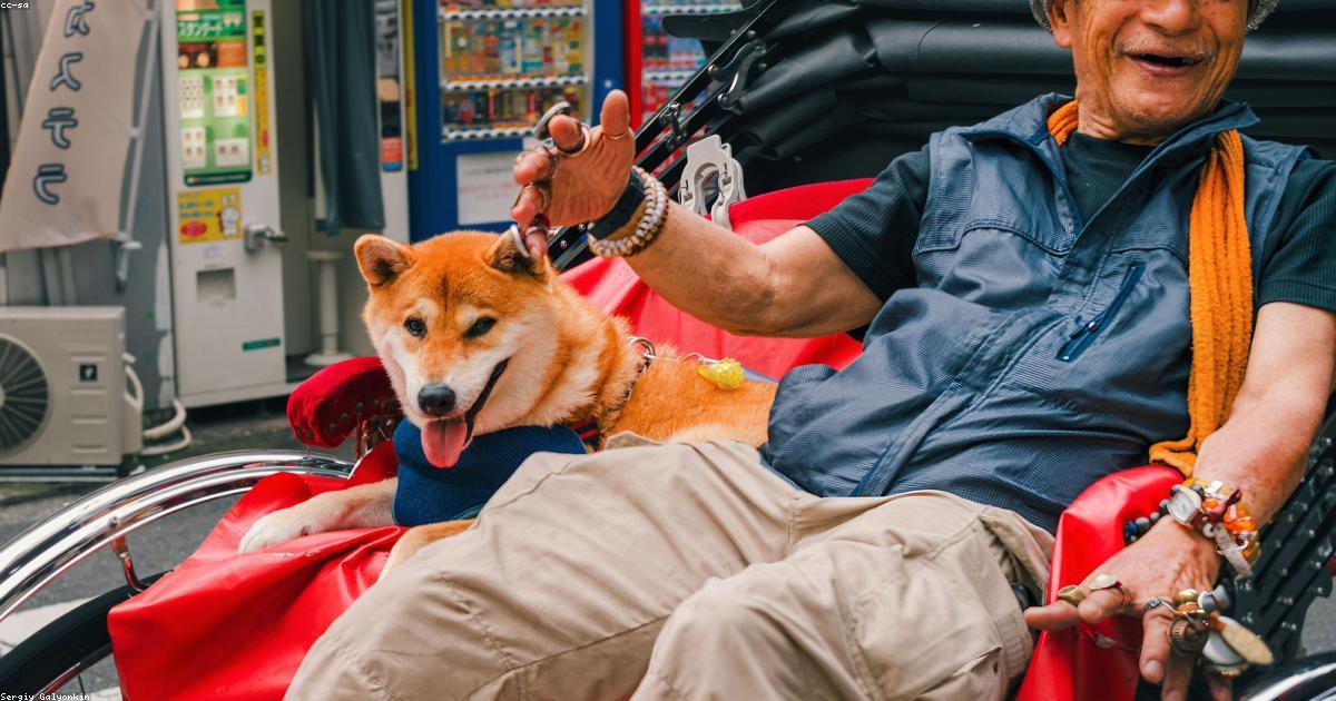 Moda-Beleza-post-image-32